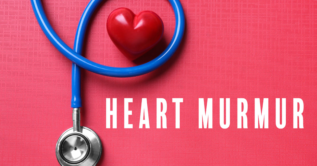 Heart Murmurs: Causes, Symptoms, and Treatments