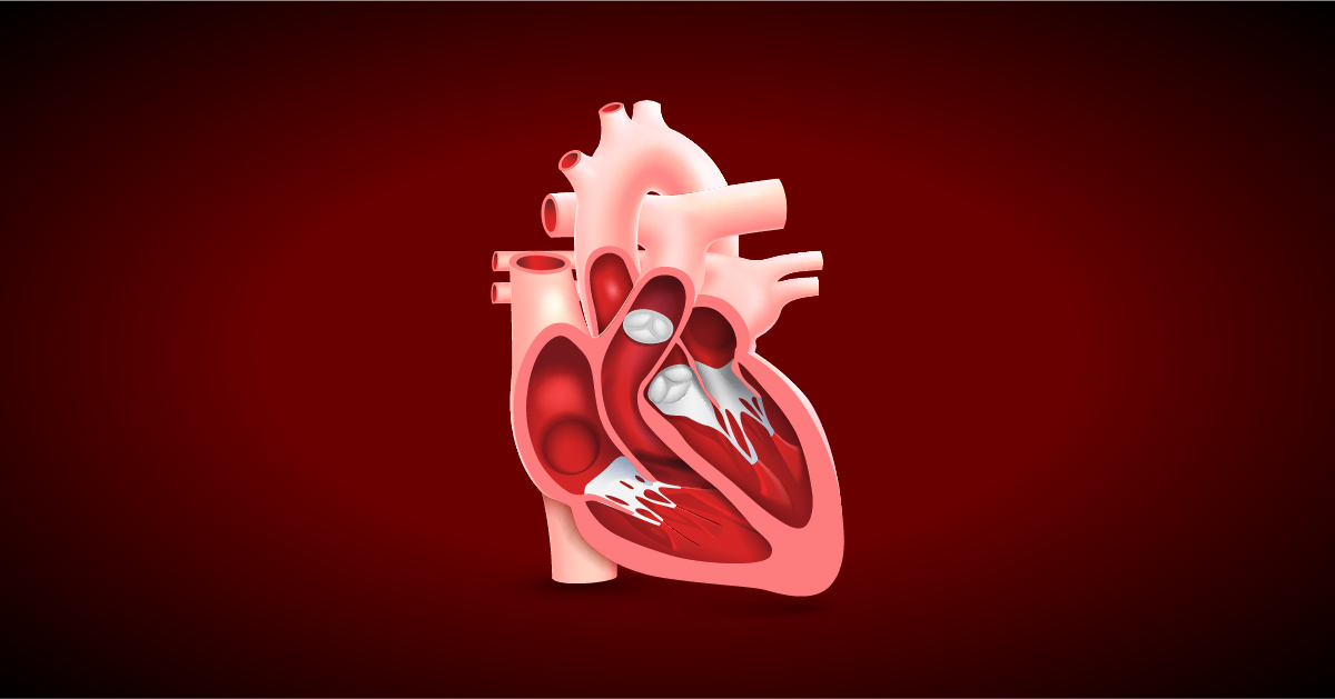 Diagnosing Heart Valve Disease