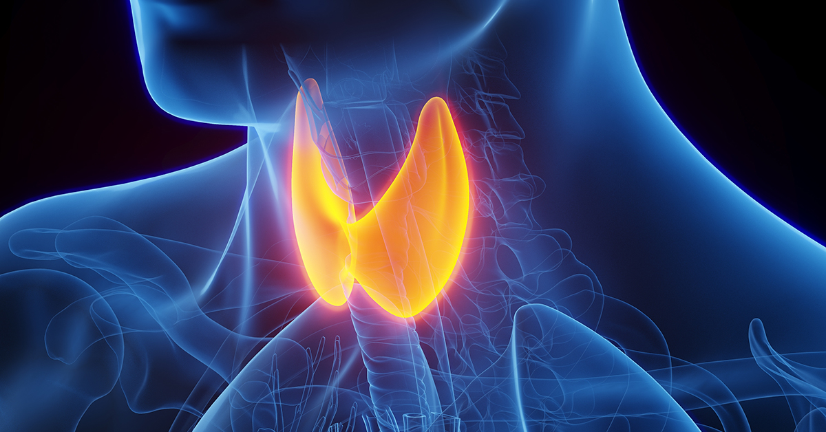 Thyroid Health and Heart Rhythm Disorders: Understanding the Connection